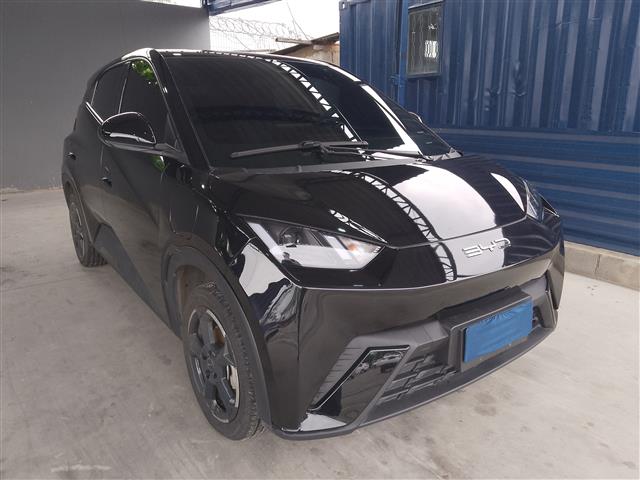 BYD DOLPHIN MINI GS EV