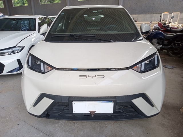 BYD DOLPHIN MINI GS EV